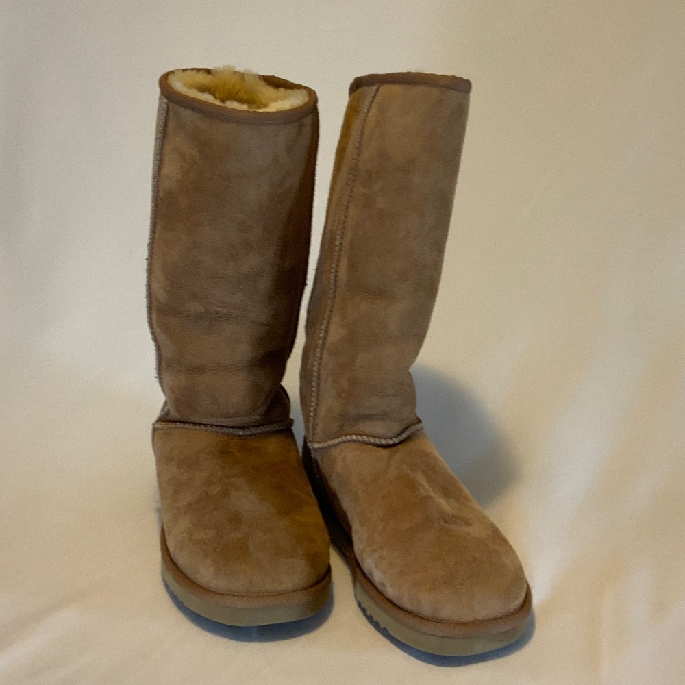 UGG Women's Brown Boots
